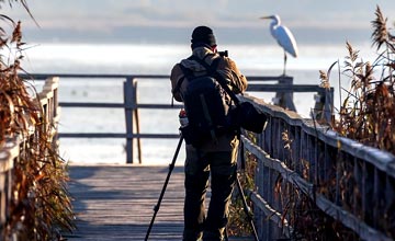 Nature and Wildlife Photography Course